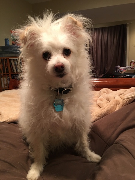 Winston