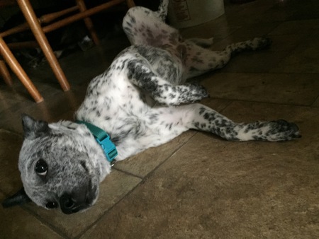 Sadie