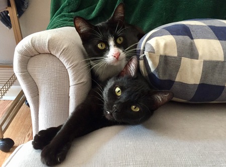Mia  & Minnie
