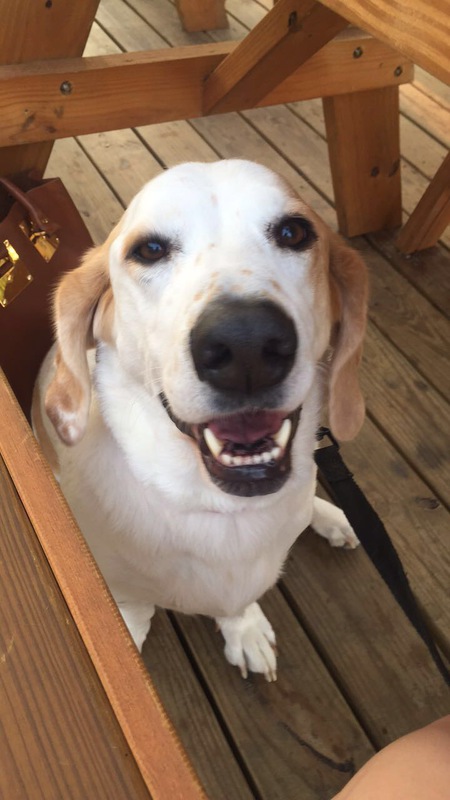 Sadie