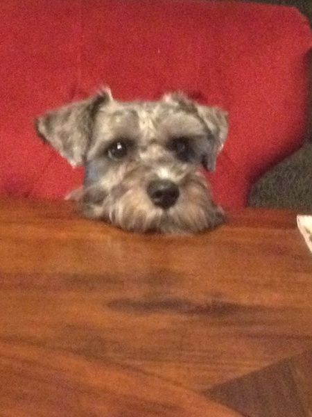 MADDIE