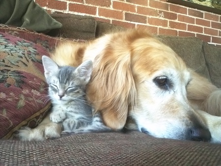 Sophie (dog) and Murray
