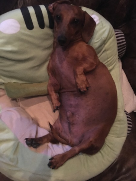 Basil