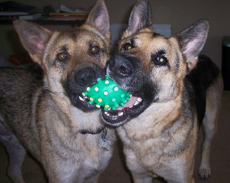 Tobe & Chance