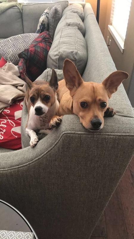 Finnegan and Stella