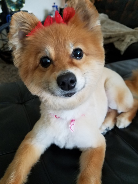 Lulu