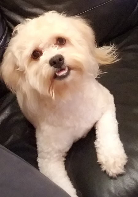 Ruby girl