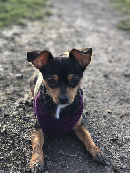 Muddy Molly 