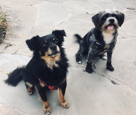 Tucker & Taylor