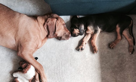 Annie Lou & Oakley