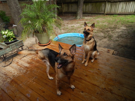 Max and Anja