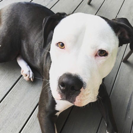 Roscoe