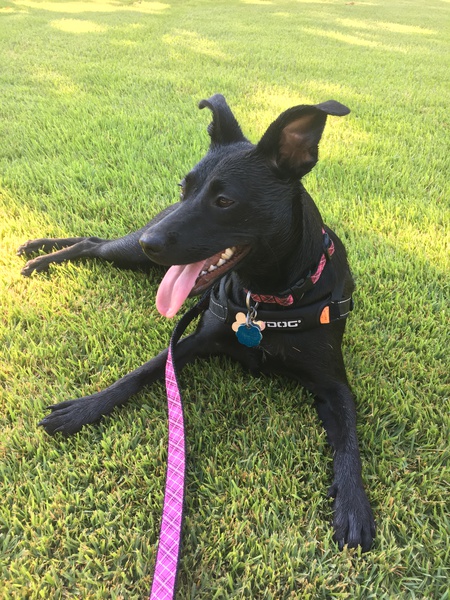 Ellie