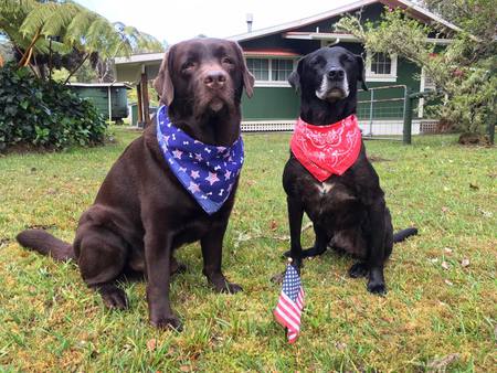 Kimo and Pepper