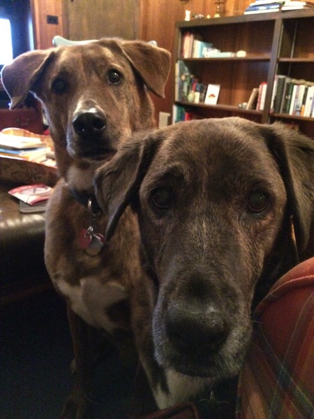 Sadie Mae & John