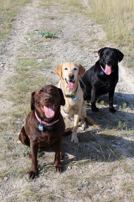 Ridley, McKenna & Lapua Erpenbach