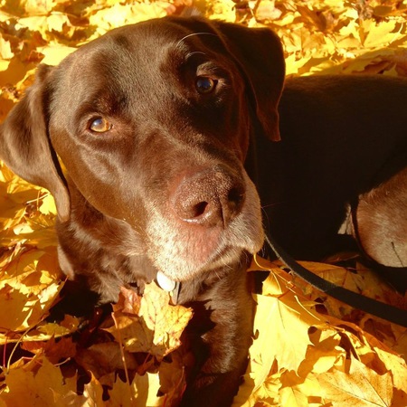 Riley
