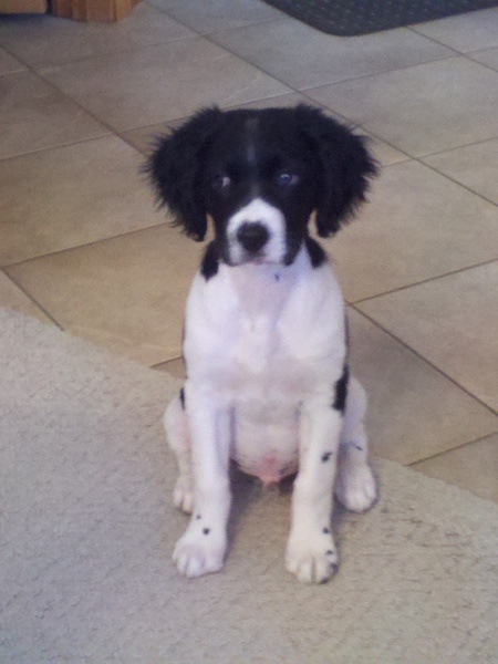 Daxter