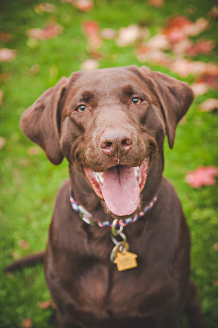 Tucker