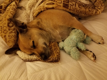 Murphy 