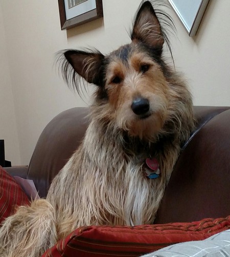 Little Ricky