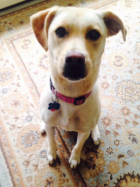 Emmie