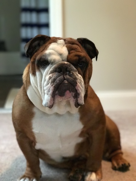 Owen