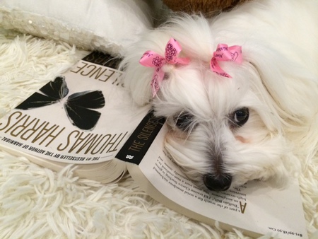 Princess
