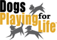 Logo for Dogs Playing for Life 2018 Calendar Contest