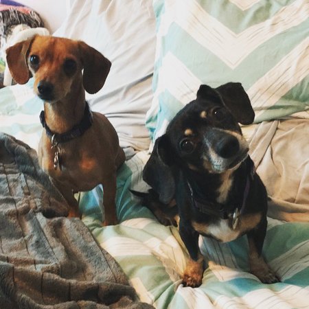 Gretchen Wieners & Link