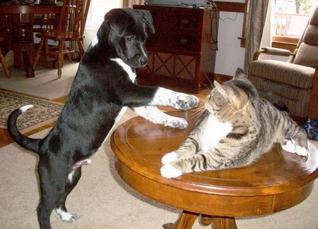 Mick and Mei-hao (Meow)
