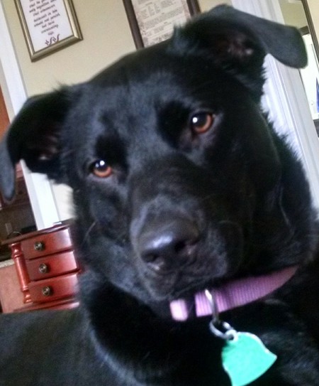Kallie