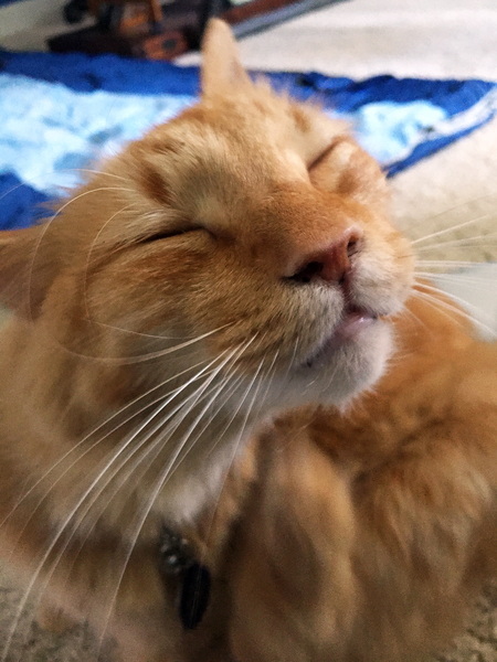 Biggles