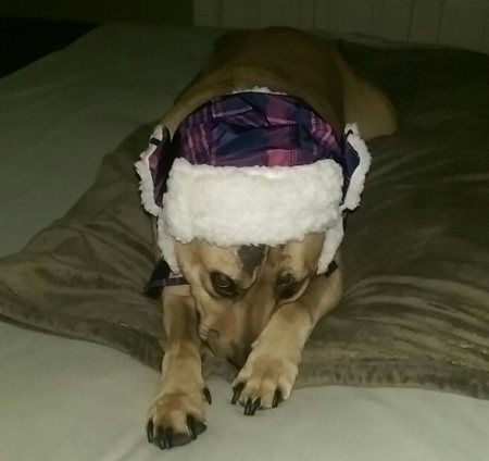 Odin