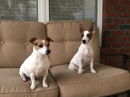 Lilly and Blossom 