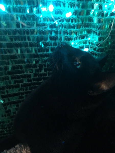 Luna