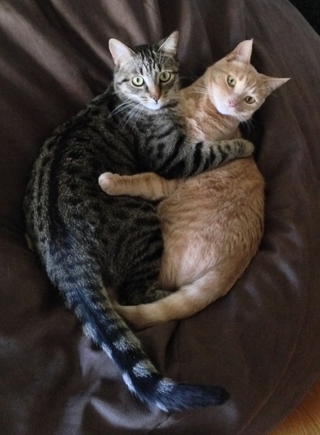 Leo and George