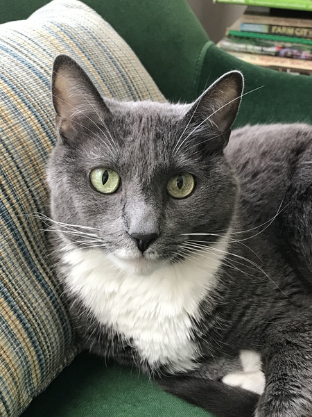 Millie