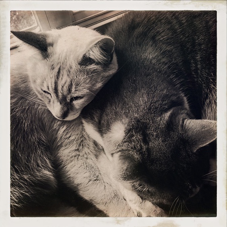 Zach and Juno