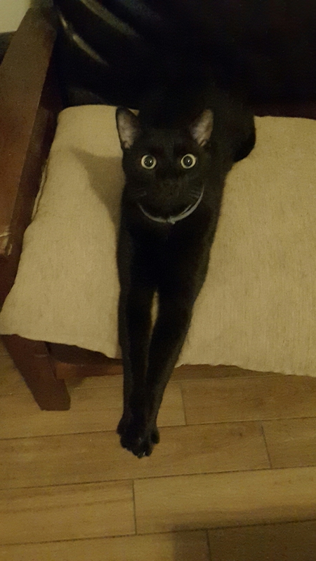 Frankie