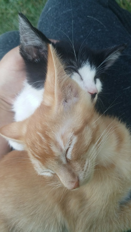 Maximus and Bruce 