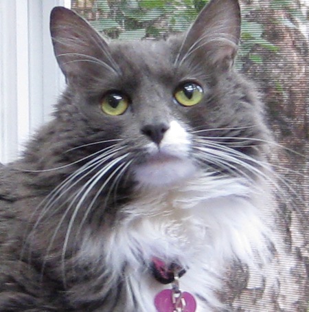 Maya Sophia