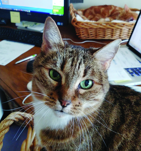 Minna Mae