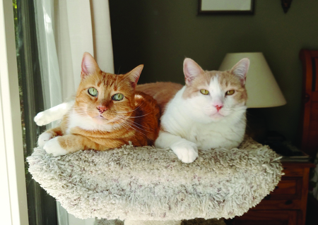Ozzie and Otis