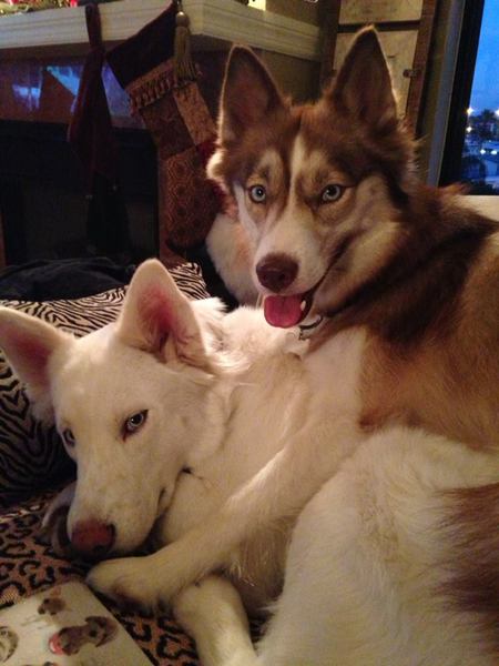 Aska & Juneau