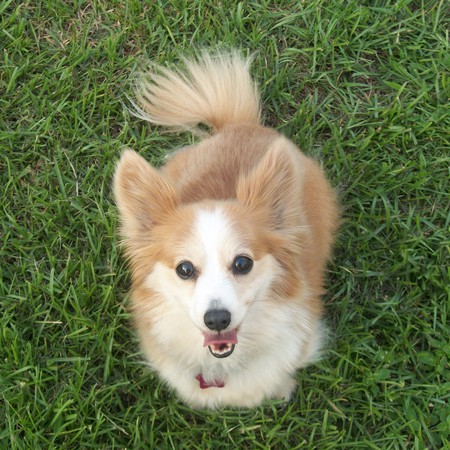 Daizie