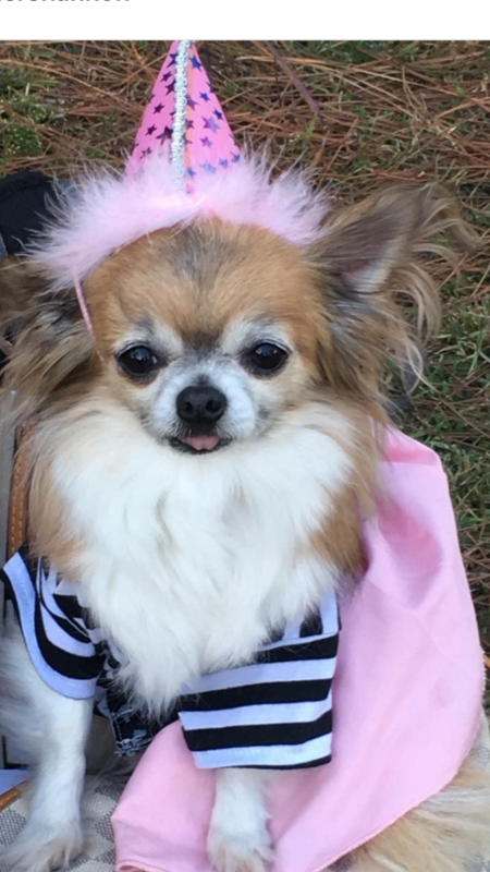 Gidget
