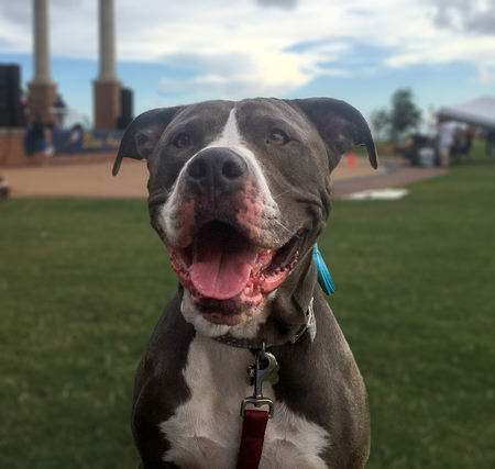 Titus 