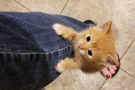 JackJack