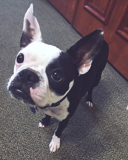 Frank